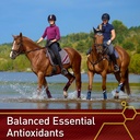 vita-flex-pro-e-selenium-supplement-vita-6.jpg