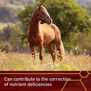 vita-flex-pro-e-selenium-supplement-vita-5.jpg