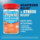pepcid-soothing-antacid-gummies-heartbur-3.jpg