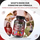 coenzyme-q10-ubiquinone-red-yeast-rice-h-3.jpg
