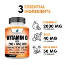 american-standard-supplements-vitamin-c--3.jpg