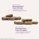 natrol-juicefestiv-vitamins-and-suppleme-4.jpg