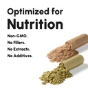 fruits-and-vegetables-supplements-gmp-ce-2.jpg