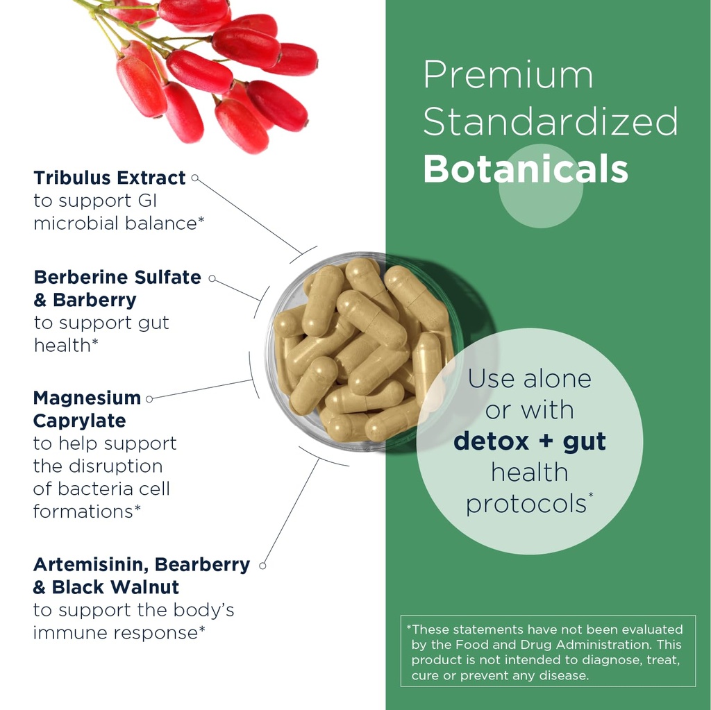 designs-for-health-gi-microb-x-botanical-3.jpg