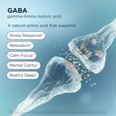 designs-for-health-pharmagaba-chewable-s-4.jpg