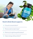 nootrix-brain-boost-nootropic-supplement-3.jpg