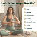 alpha-focus-nootropic-memory-and-focus-b-2.jpg