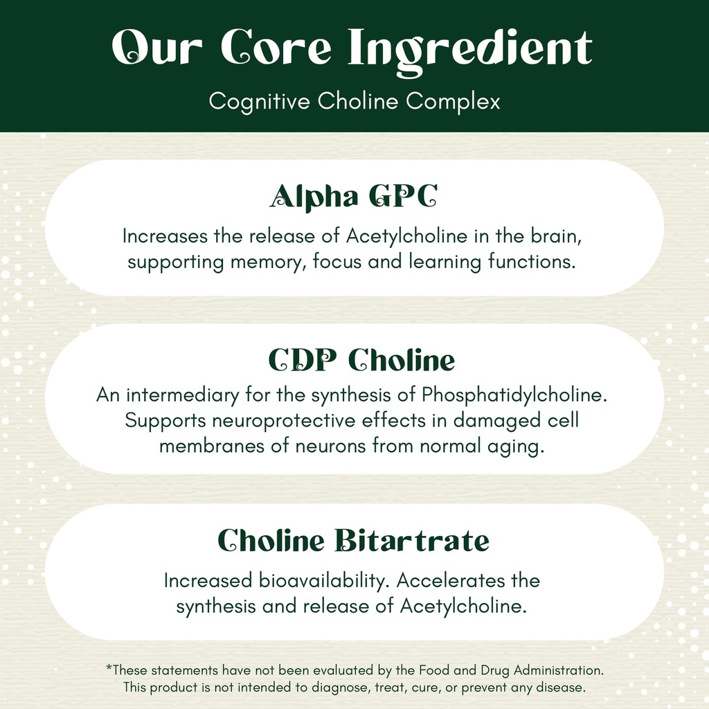 alpha-focus-nootropic-memory-and-focus-b-5.jpg