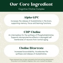 alpha-focus-nootropic-memory-and-focus-b-5.jpg