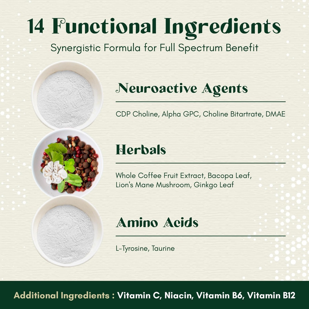 alpha-focus-nootropic-memory-and-focus-b-6.jpg