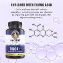ancient-bliss-tudca-500mg-30-capsules-ta-4.jpg