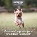 cosequin-minis-soft-chews-maximum-streng-4.jpg