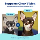 dog-eye-and-liver-wellness-bundle-vision-3.jpg