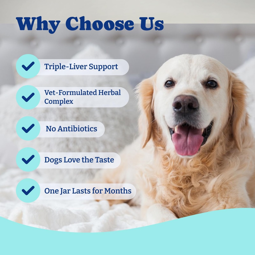 dog-eye-and-liver-wellness-bundle-vision-6.jpg
