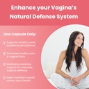 mother-s-promise-prenatal-postnatal-mult-6.jpg