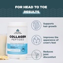 ancient-nutrition-unflavored-collagen-pe-5.jpg