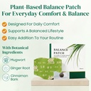 2-box-herbal-patch-pad-balance-mugwort-h-3.jpg