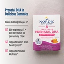 nordic-naturals-zero-sugar-dha-prenatal--3.jpg
