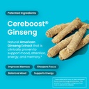 neuro-memory-focus-gum-nootropic-gum-wit-6.jpg