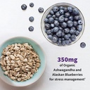 garden-of-life-dr-formulated-probiotics--5.jpg