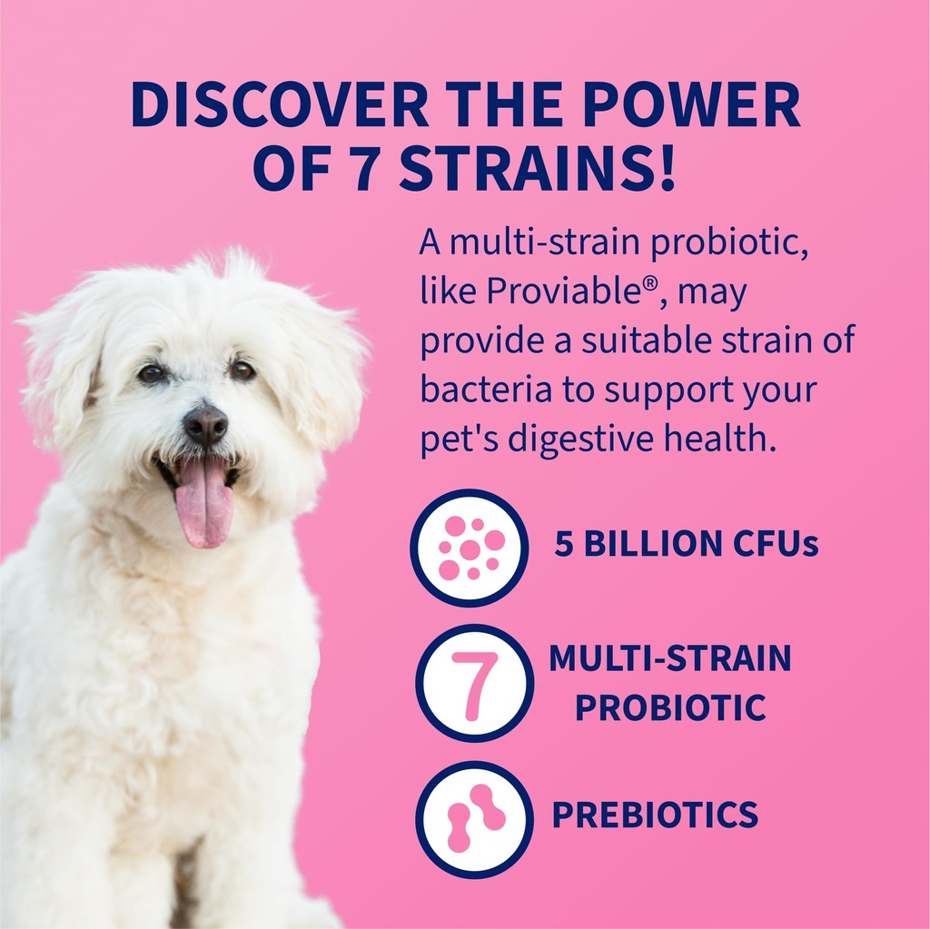 nutramax-proviable-probiotics-for-dogs-d-4.jpg