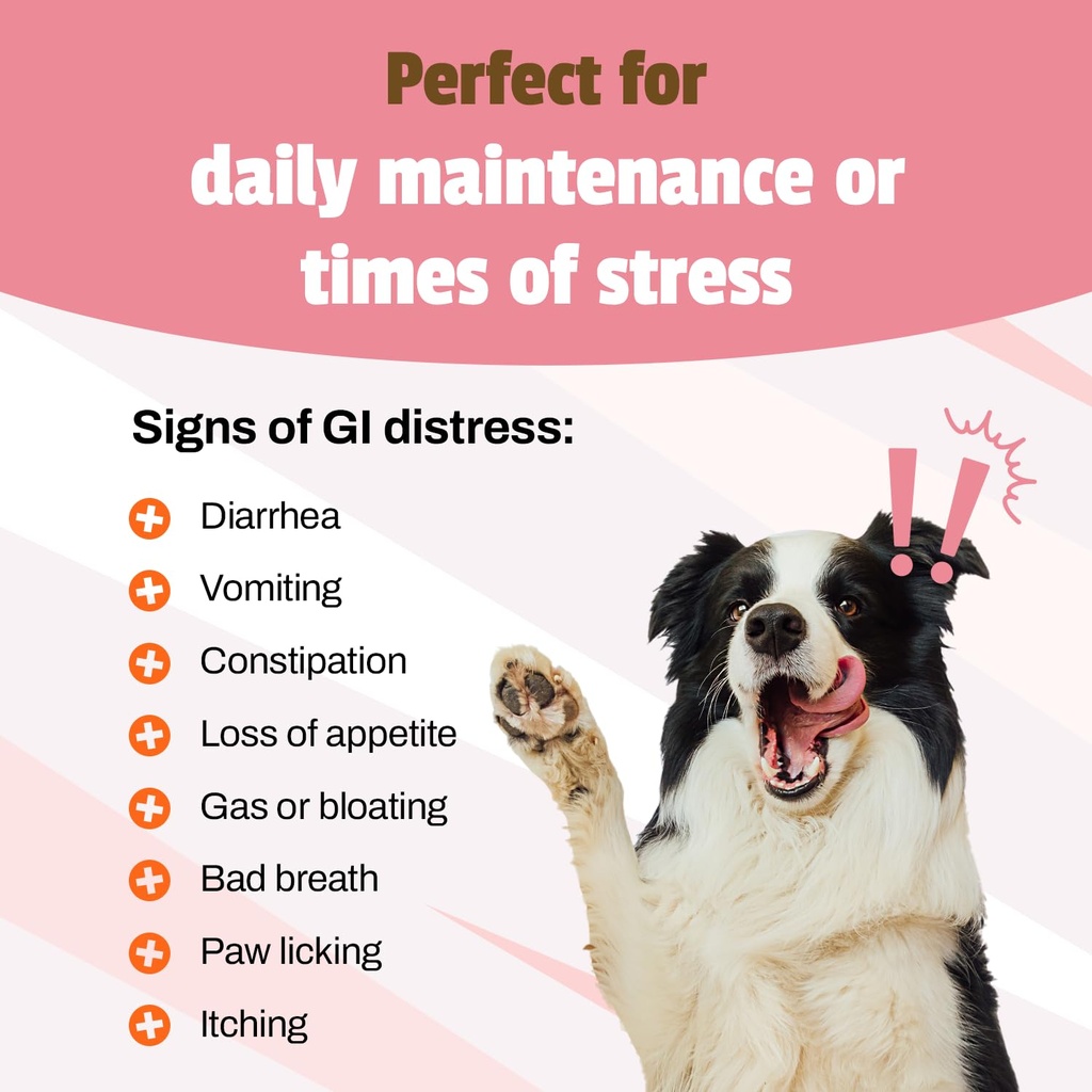 pet-naturals-daily-probiotic-for-dogs-du-5.jpg
