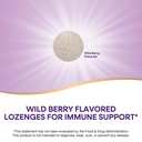 nature-s-way-zinc-lozenges-with-vitamin--3.jpg