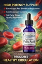 vitamin-b9-folic-acid-drops-b-vitamin-li-5.jpg