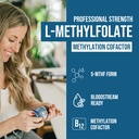 l-methyl-folate-1000-mcg-plus-methyl-b12-2.jpg