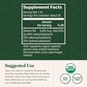 global-healing-center-vitamin-b12-sublin-3.jpg