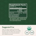 global-healing-organic-vitamin-b12-5000--3.jpg