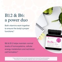 youtheory-b12b6-vitamin-b12-b6-supports--4.jpg