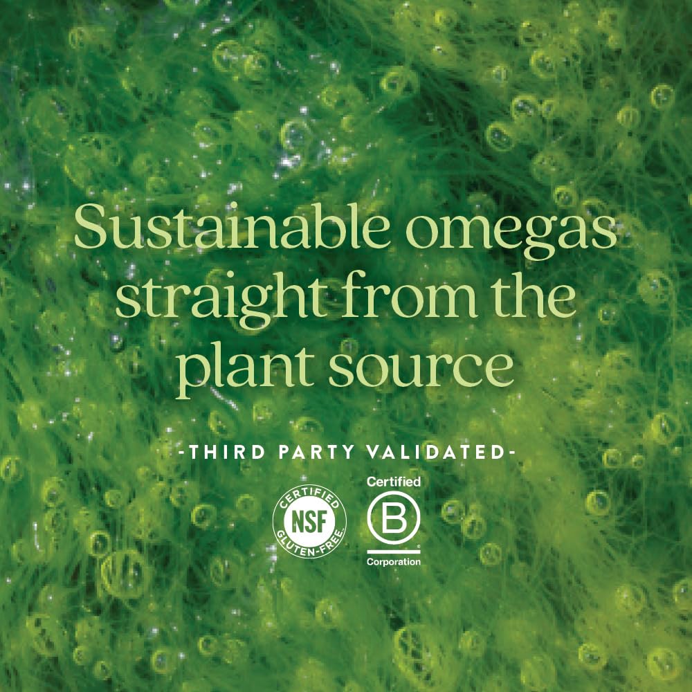 new-chapter-vegan-algae-oil-dha-epa-and--5.jpg