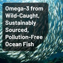 naturewise-ultra-omega-3-fish-oil-2200-m-2.jpg