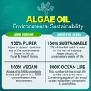 vegan-omega-3-gummies-for-adults-fish-oi-4.jpg