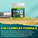 vegan-omega-3-gummies-for-adults-fish-oi-6.jpg