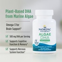 nordic-naturals-algae-dha-60-soft-gels-5-3.jpg