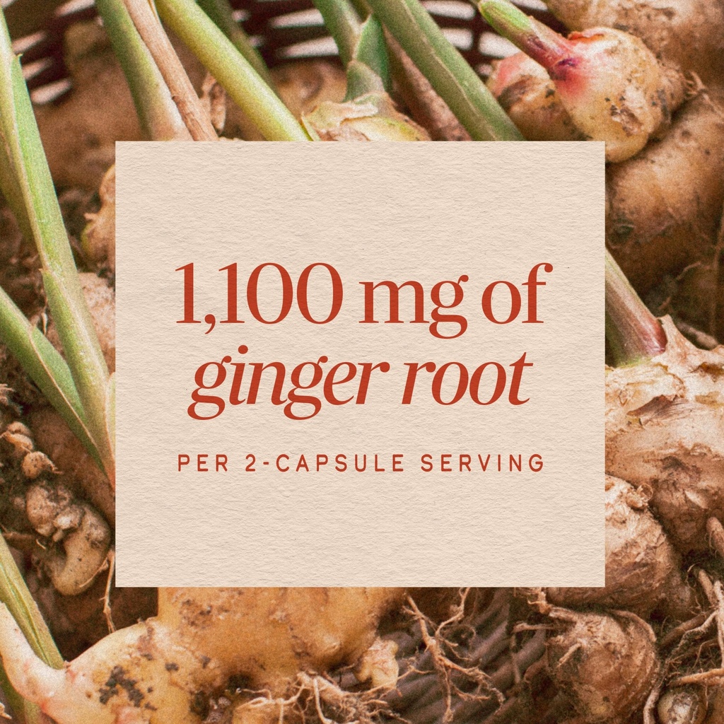 nature-s-way-ginger-root-capsules-1100-m-4.jpg