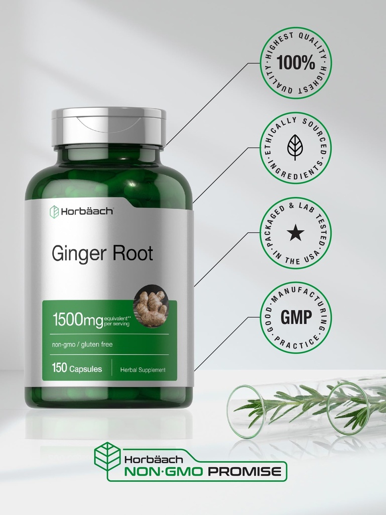 horb-ach-ginger-root-capsules-150-pills--6.jpg