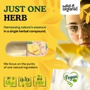 wild-organic-ginger-root-capsules-1200-m-5.jpg