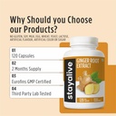stay-alive-pure-ginger-root-capsules-100-5.jpg