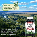 fito-medic-s-lab-ginger-root-capsules-20-5.jpg