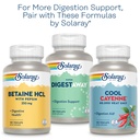 solaray-organic-ginger-1080-mg-organic-g-6.jpg