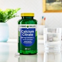 spring-valley-calcium-citrate-600-mg-300-6.jpg