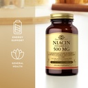 niacin-500mg-solgar-100-vcaps-4.jpg