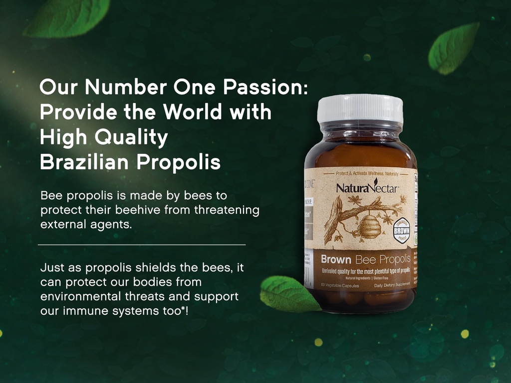 naturanectar-brown-bee-propolis-nsf-cont-5.jpg