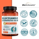 glucosamine-chondroitin-msm-joint-suppor-6.jpg