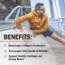 glucosamine-chondroitin-msm-joint-suppor-5.jpg