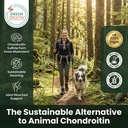 vegan-glucosamine-chondroitin-msm-joint--2.jpg