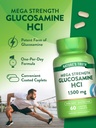 nature-s-truth-glucosamine-hci-1500mg-60-5.jpg